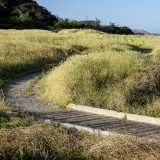 Morning Light & the Bluff Trail