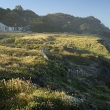 Morning Sun, Bluff Above Black Point Beach