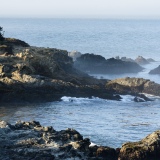 Quiet Morning, Sculpture Point & Smugglers Cove